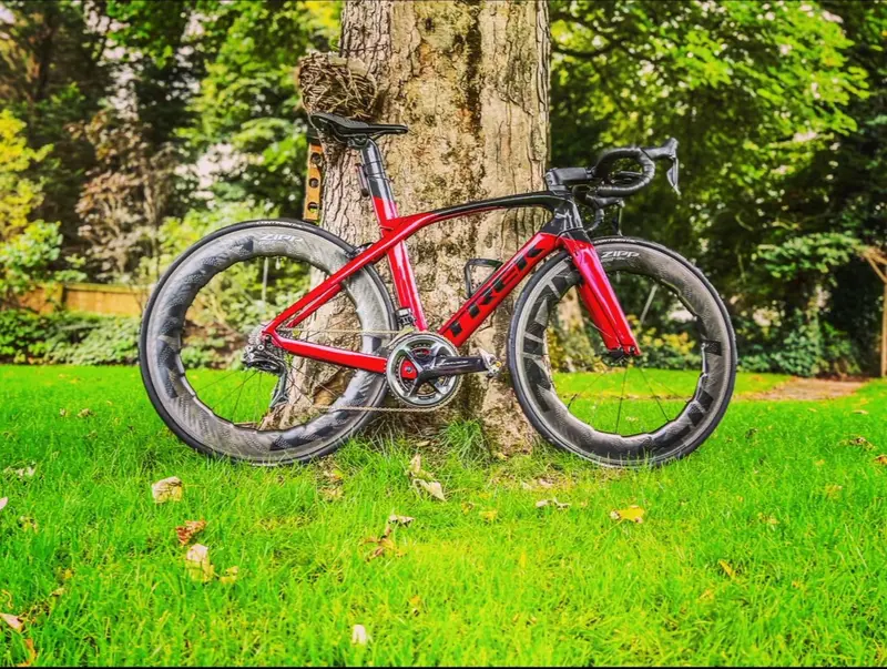 Red Trek road bike against a tree, showing the complete side profile